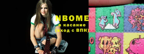гашик Верея