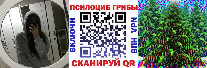 Купить где  Лянтор  Псилоцибиновые грибы Psilocybine cubensis 